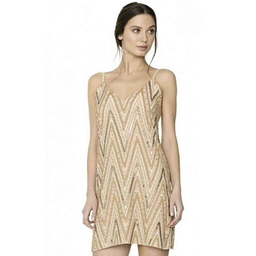 NWT $698 ALICE + OLIVIA Sz 8 AVALON EMBELLISHED BEADED MINI SLIP DRESS NUDE
